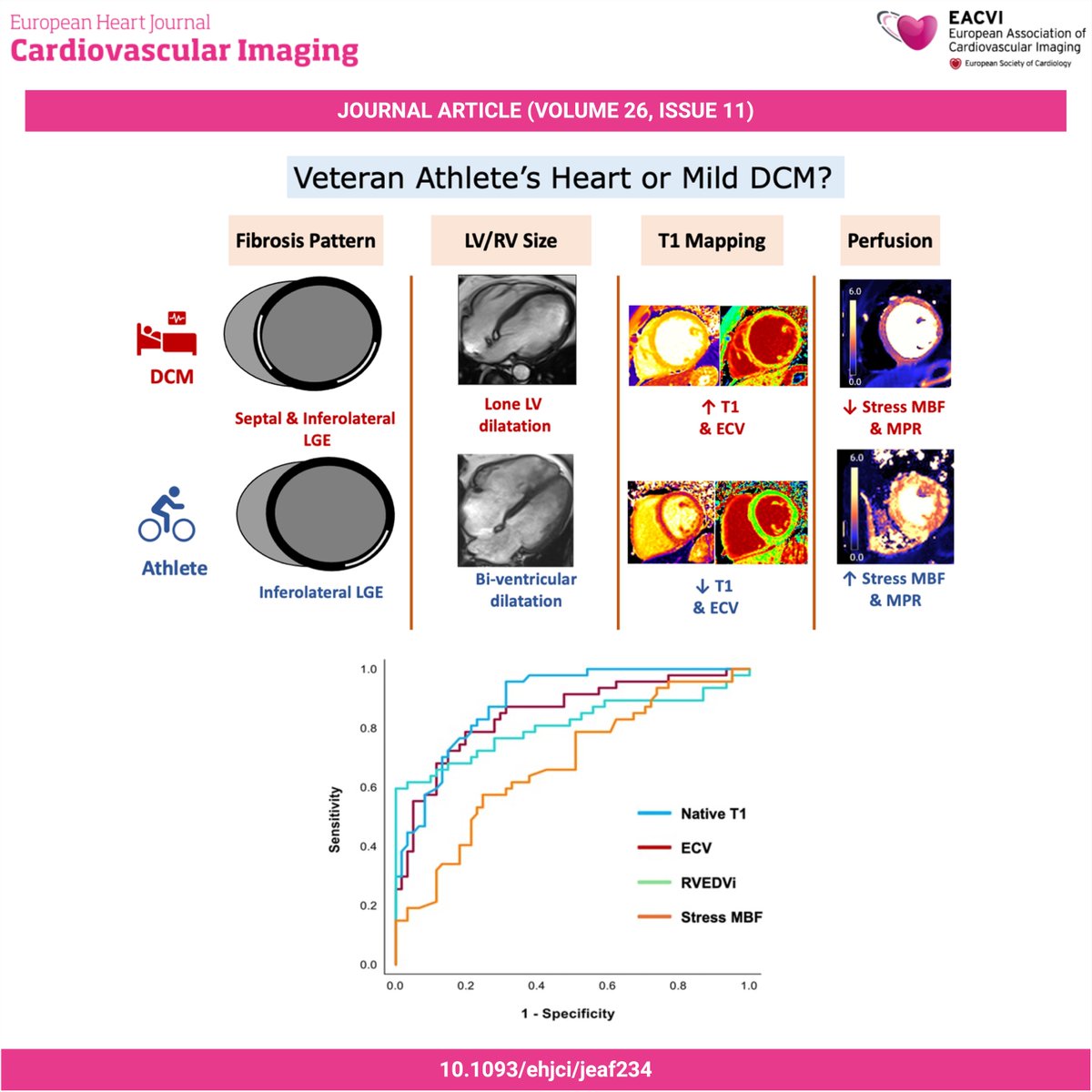 EHJCVIEiC's tweet image. #EHJCVI 🏃‍♂️ Dilated athlete’s heart or mild dilated cardiomyopathy? CMR reveals that septal fibrosis is rare in athletes, who show lower native T1 and ECV, but higher RVEDVi and MBP, with an AUC ≈ 0.85 for ECV 🫀📊 👉 Read more: doi.org/10.1093/ehjci/… #CVImaging #whyCMR