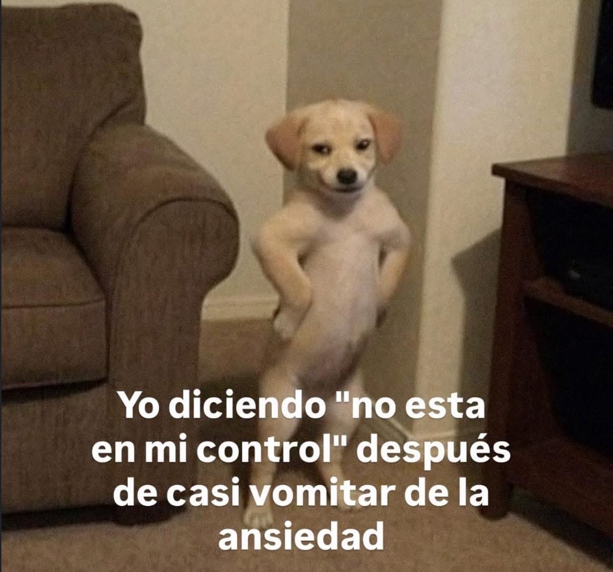 skereunpesado's tweet photo. https://t.co/0KRBEbBZSN