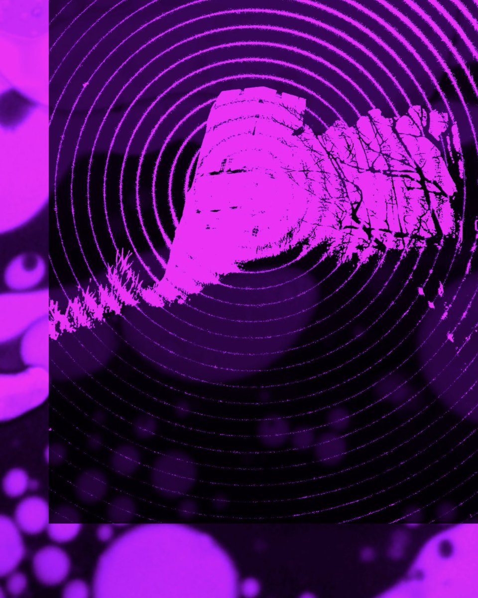 Lewes Psychedelic Festival tweet media