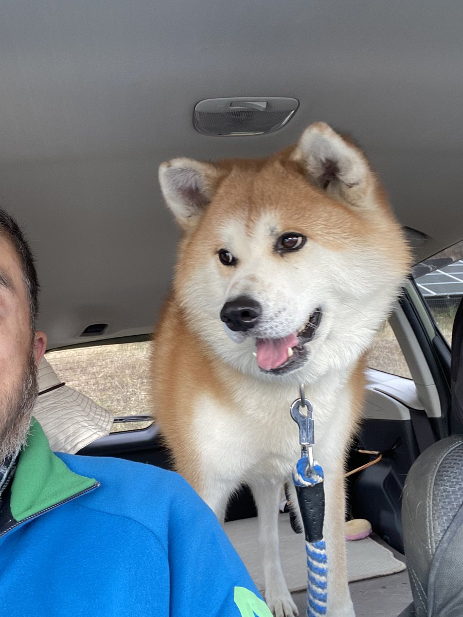 たま (@bearing444) / Posts / X