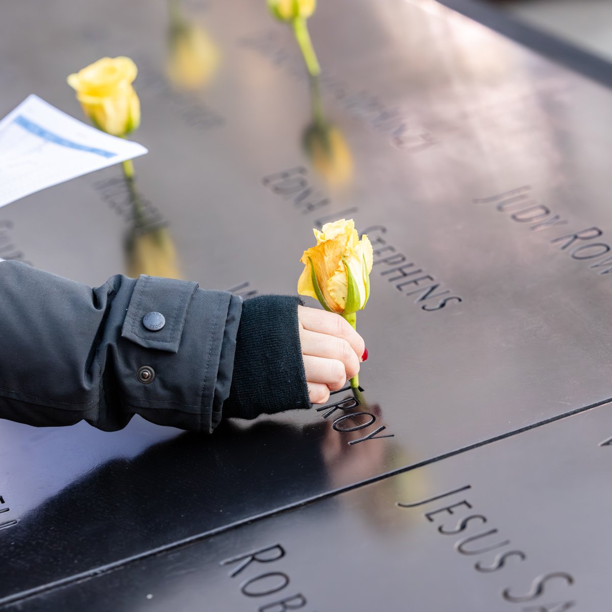 9/11 Memorial & Museum tweet media