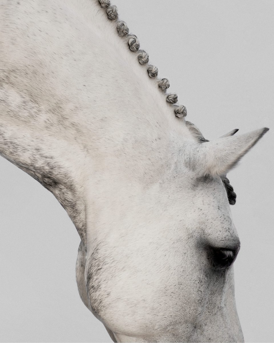 StellaMcCartney's tweet image. The Ryder bag is inspired by our equestrian codes and is vegan down to the glue. Every year, 1 billion animals are killed for leather, including horses. We never harm any.​

Shop the Ryder in-store and at stella-mccartney.visitlink.me/OKeyxq

#StellaMcCartney #CrueltyFree #Vegan