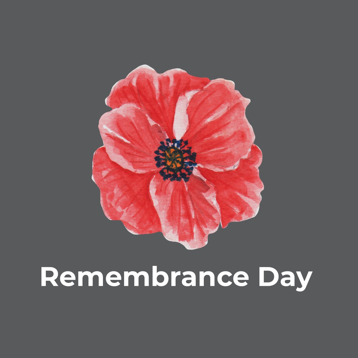 SyntaxStrategic's tweet image. Today, on Remembrance Day, we pause to honour those who have served and those who gave their lives in conflict. 

We reflect on their service, their sacrifice, and the freedoms they fought to protect, freedoms we are fortunate to experience every day. 

Lest we forget.