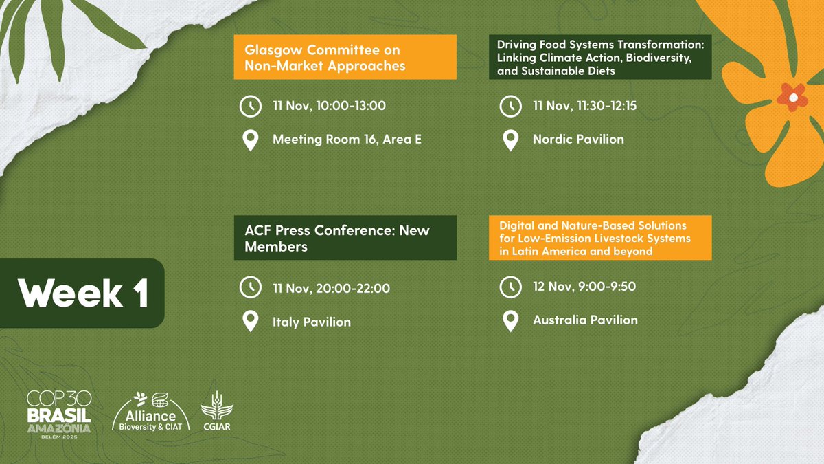 BiovIntCIAT_eng's tweet image. 📢 Join us at #COP30 for a week of 🌿 science, 🤝 partnerships &amp;amp; 💡 solutions — with side events showcasing how research drives climate action for food, nature &amp;amp; people.
🔗 allbiociat.org/3WwDWzJ