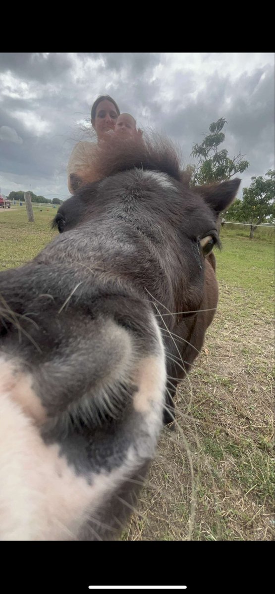CountryDeva's tweet photo. Caption this $PONY moment 🐴💸
Funniest reply becomes an official meme! #PONYcoin #PONY #PONYPower #CryptoCommunity #MemeCoin #CryptoFam https://t.co/VtOQKsa8xS