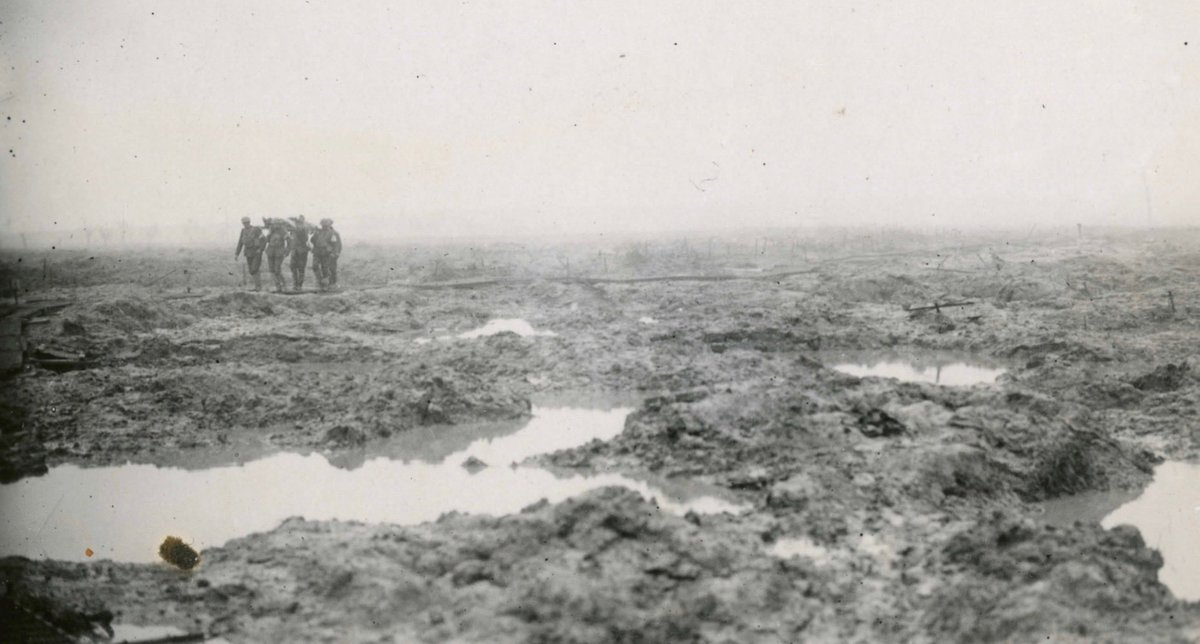 Michael L. MacDonald 🇨🇦 tweet media