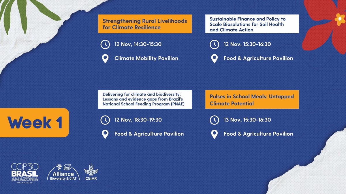 BiovIntCIAT_eng's tweet image. 📢 Join us at #COP30 for a week of 🌿 science, 🤝 partnerships &amp;amp; 💡 solutions — with side events showcasing how research drives climate action for food, nature &amp;amp; people.
🔗 allbiociat.org/3WwDWzJ