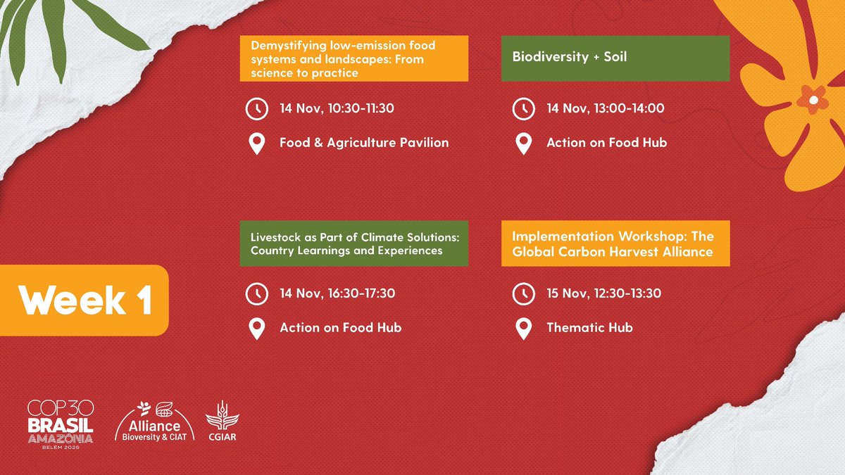 BiovIntCIAT_eng's tweet image. 📢 Join us at #COP30 for a week of 🌿 science, 🤝 partnerships &amp;amp; 💡 solutions — with side events showcasing how research drives climate action for food, nature &amp;amp; people.
🔗 allbiociat.org/3WwDWzJ