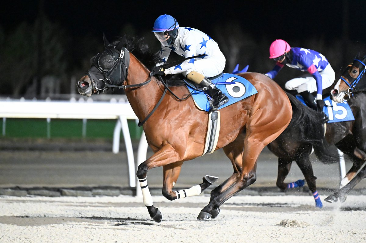 ツチノコ (@kawapurisan) / Posts / X