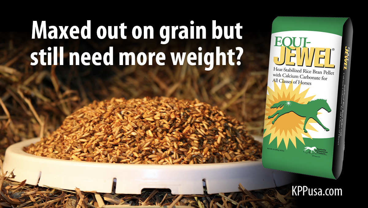 Kentucky Performance Products tweet media