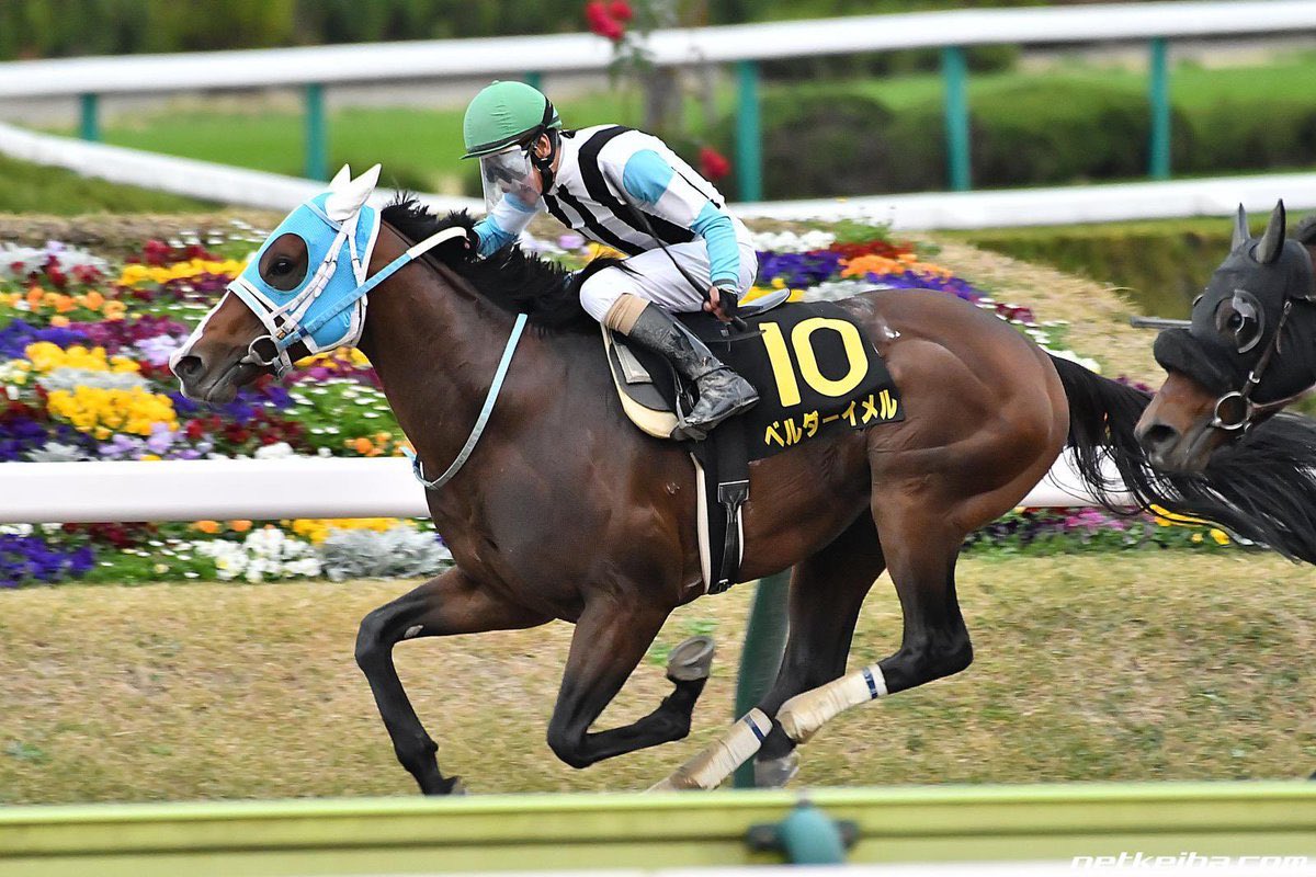 オルフェーヴル　たてがみ 誰しも向き不向きはある