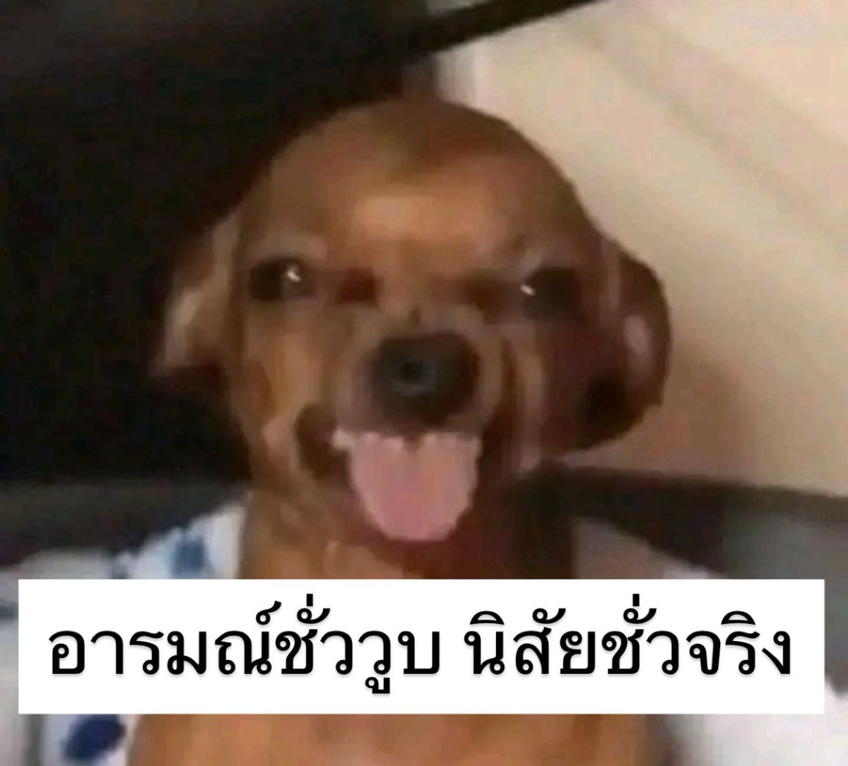sutiฯ tweet media