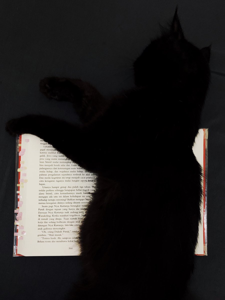waltzsand's tweet photo. the book                                      the bookmark 🐈‍⬛ https://t.co/DM2HPDRtLV