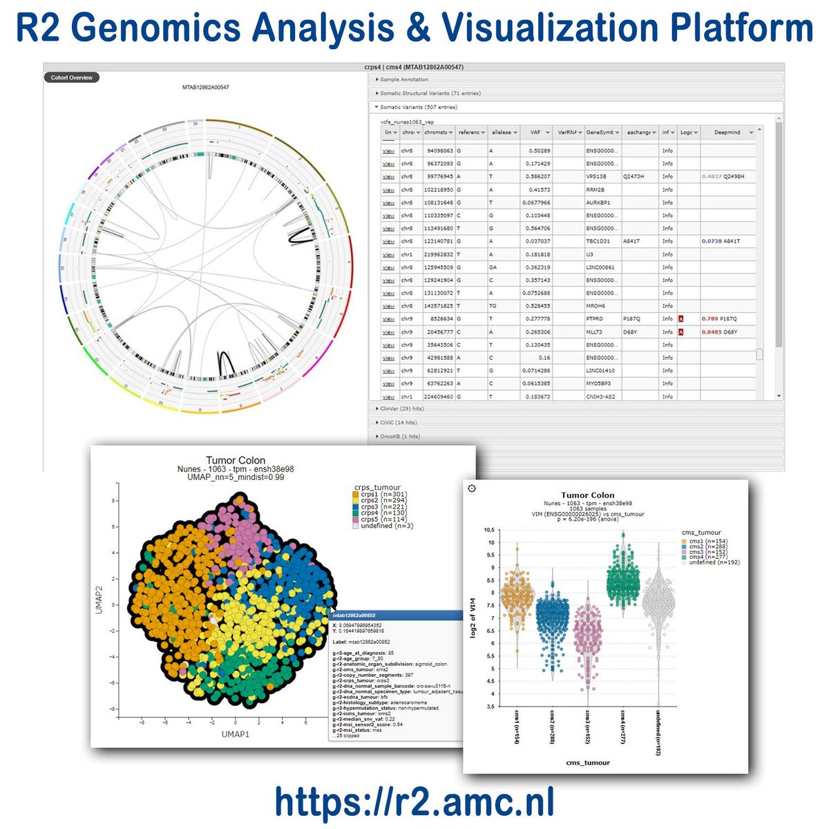 r2_microarray's tweet image. R2 has a whole section on multi omics precision oncology representation (#MTB).  

R2 open online nocode data science platform for biomedical researchers. 

r2platform.com 

#Oncology  #CancerGenomics #NGS #Medical  #oncology #cancer #PrecisionOncology