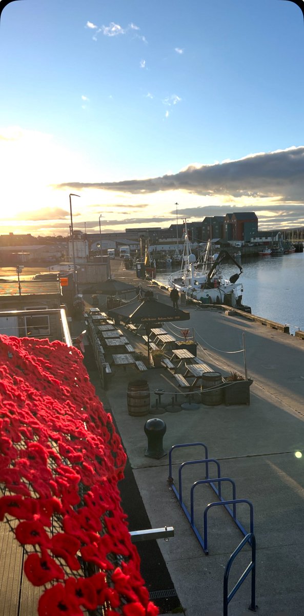 CoastZoneConse1's tweet photo. The Coquet Island wardens in the past marked Remembrance Day with dignity and caring. The current “poppy flow” on the harbour office was hand made by a volunteer warden and originally displayed on Coquet. Lest we forget #coquetisland #rbl #poppy #roseatetern https://t.co/sBjJf84LfN