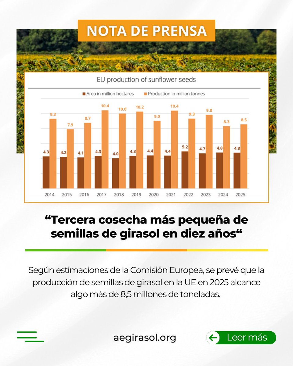 ¡¡Ya disponible la última nota de prensa!!

📣 Tercera cosecha más pequeña de semillas de girasol en diez años.

🔔 Nota de prensa entera en 📲 aegirasol.org o en el enlace ➡️ aegirasol.org/tercera-cosech…