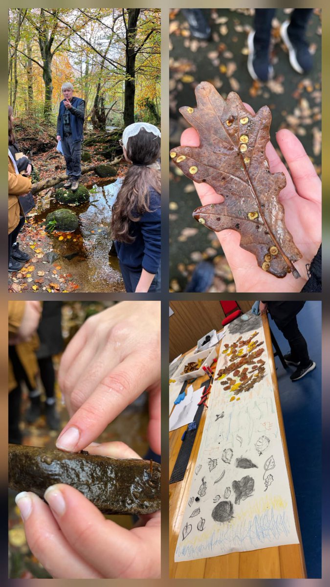 Thank you to Mark and Laura from Knocksink Wood NPWS Education Centre for delivering an amazing workshop for adults ‘Sharing Nature with Children’ on Saturday, our last Dublin Mountains Festival 2025 event. <a href="/Notice_Nature/">Notice Nature Ireland - NPWS</a> <a href="/coilltenews/">Coillte</a> <a href="/DLRTourism/">DLR Tourism</a> <a href="/DublinsOutdoors/">Dublin's Outdoors</a> <a href="/coilltenews/">Coillte</a>