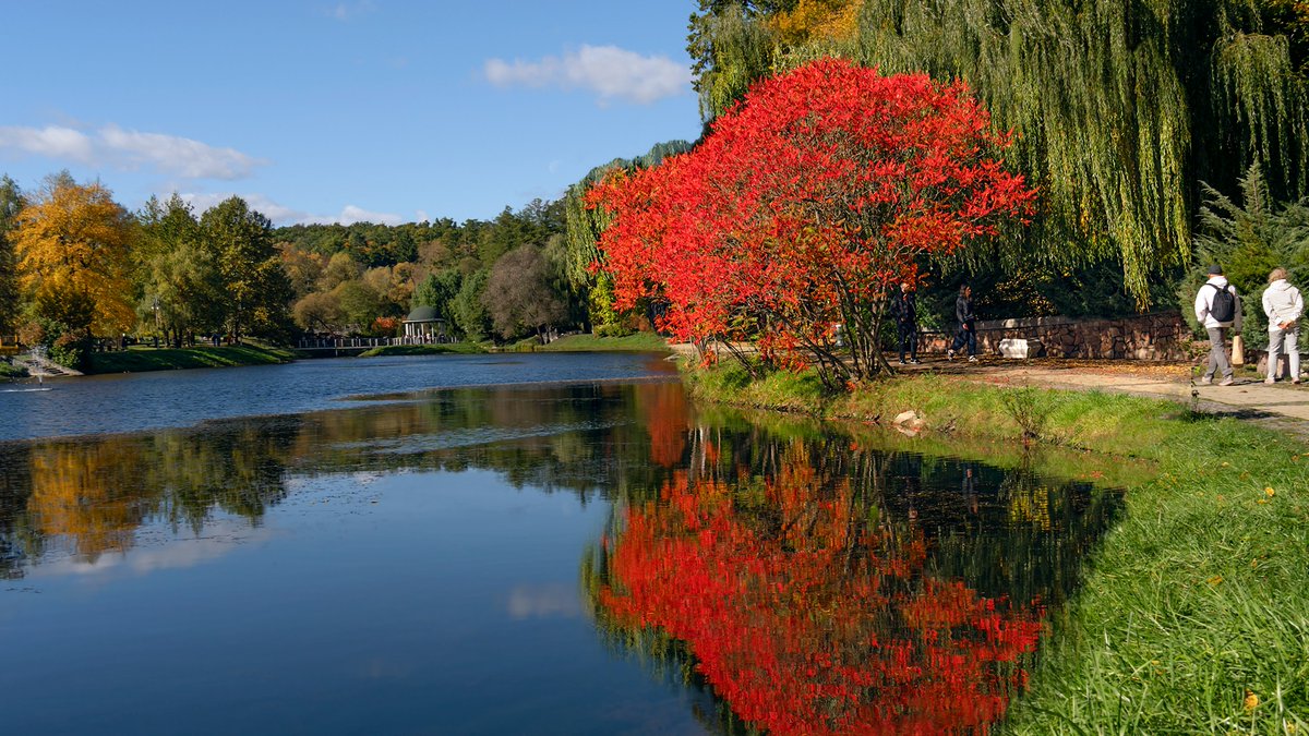 "Reflection of Autumn"
3 ed - 12 xtz
available in "The Happy Valley" collection
by <a href="/saucebook/">Mark Kelly</a> 
🔗