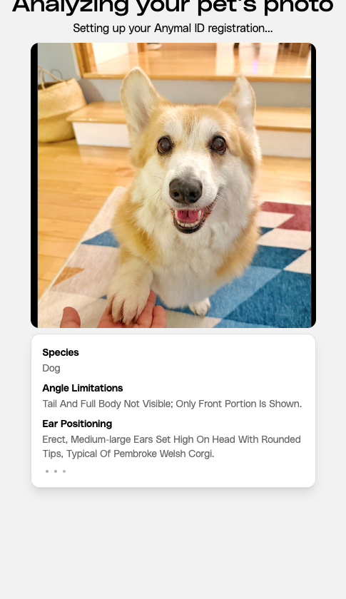 Petastic tweet media