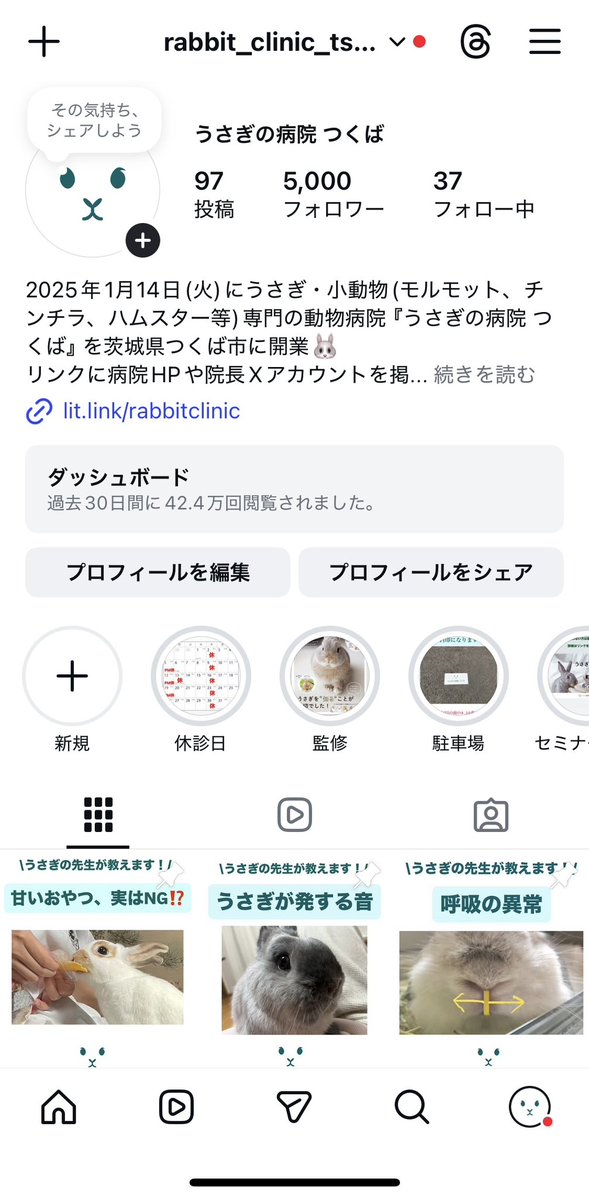 Blog_Mareeba's tweet image. 当院インスタのフォロワー様が5000人に！

いつもありがとうございます🐰
#うさぎ #うさぎのびょ