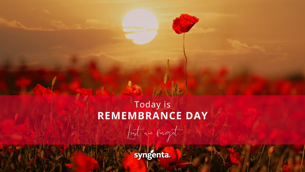 SyngentaTurfCA's tweet photo. Today, and every day #CanadaRemembers. https://t.co/t2oRAcFBwJ