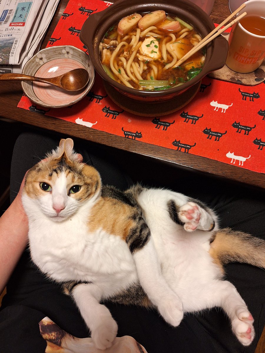 味噌煮込みうどんたべました