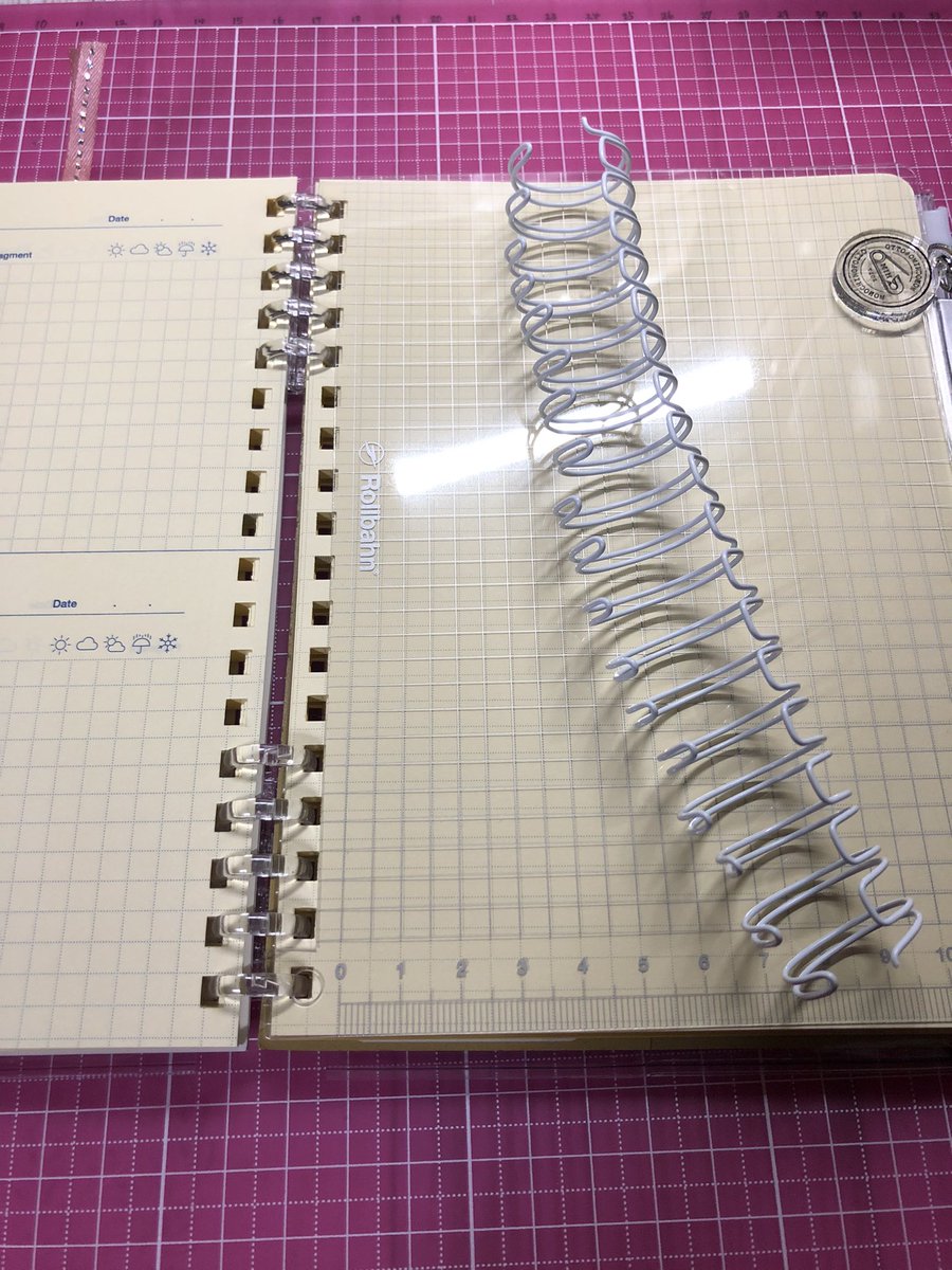 咎狗✁𝑻𝒐𝒈𝒂𝒊𝒏𝒖✃ (@cqxefSgbWxpksn9) / Posts / X