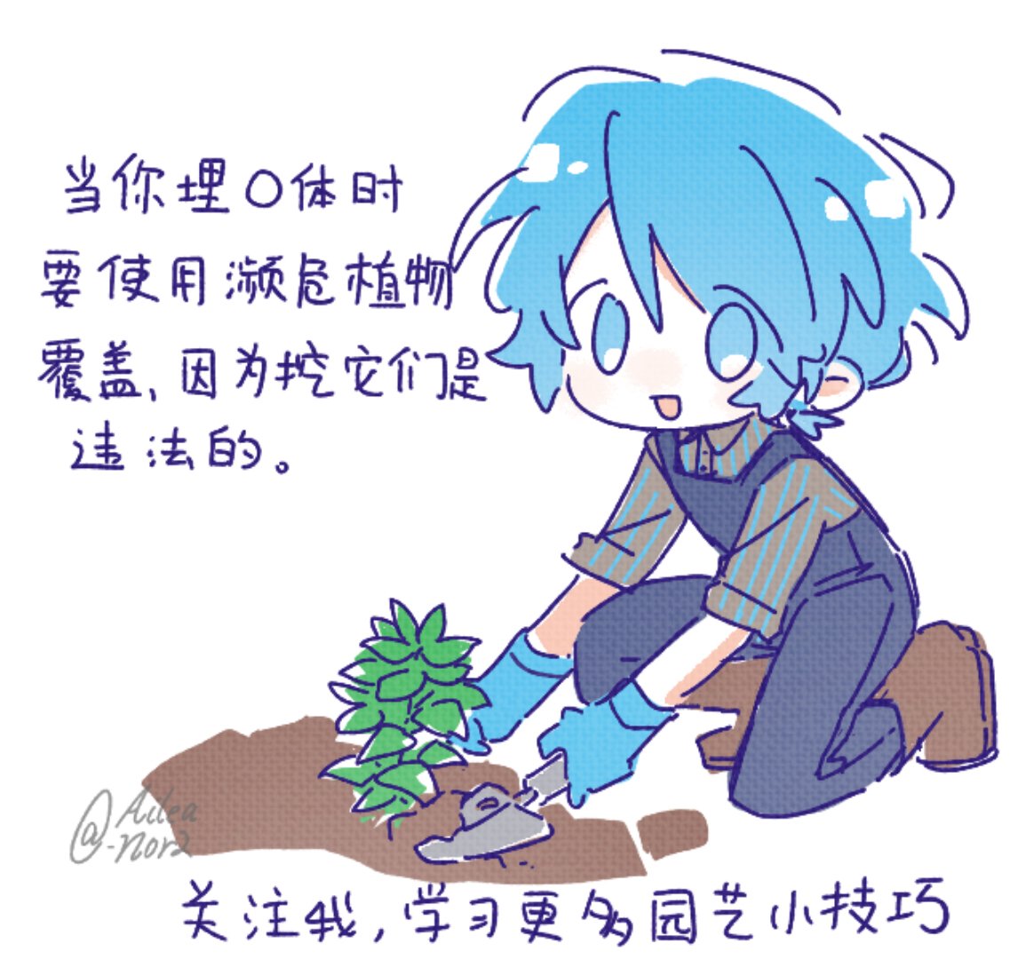 aileanor tweet media