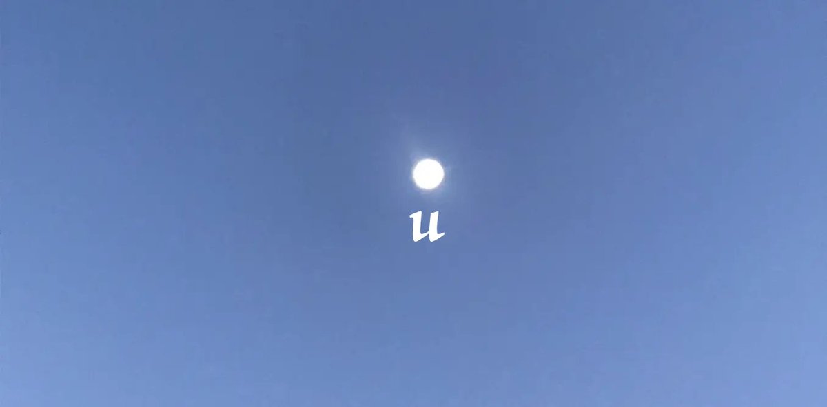 BearTheory tweet media