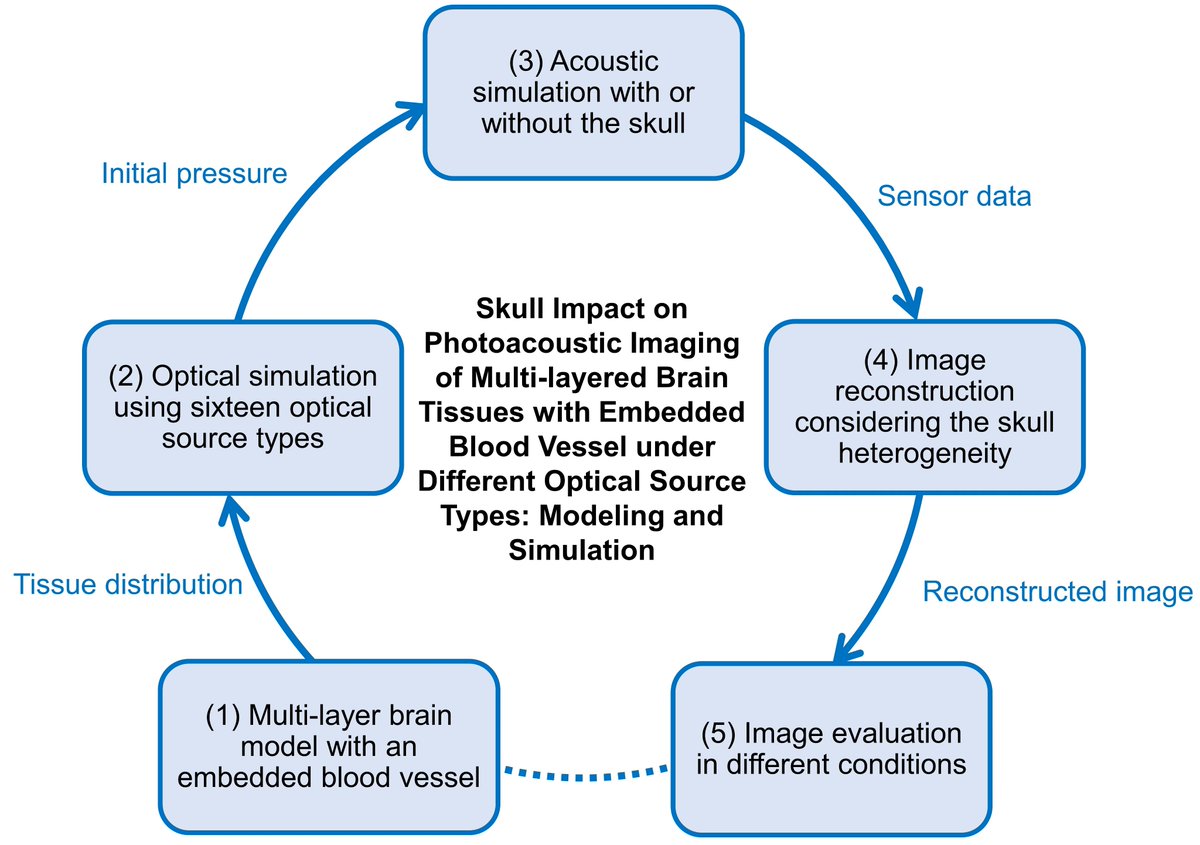 Bioeng_MDPI's tweet photo. 💥Excited to share the publication: "#Skull Impact on #Photoacoustic #Imaging of Multi-Layered #Brain Tissues with Embedded Blood Vessel Under Different Optical Source Types: Modeling and Simulation"
🔗 https://t.co/19s6W1WYwV
🏫 @Westlake_Uni
📌 #MonteCarlo #BrainModel https://t.co/Kv7n31J4kt