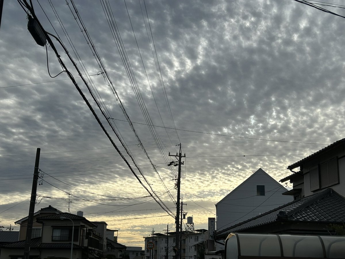 tanakatakeshi's tweet image. 【朝活・11月11日🌤️】

今朝もみまもり活動からスタートしました…🦺。

風が冷たくて、手袋なしでは辛くなってきました…🧤。

11月11日は「ポッキー&amp;amp;プリッツの日」だそうです。
pocky.jp/1111/

#質実剛健
#田中健
#未来共創
#地域密着
#あんしんみまもり隊