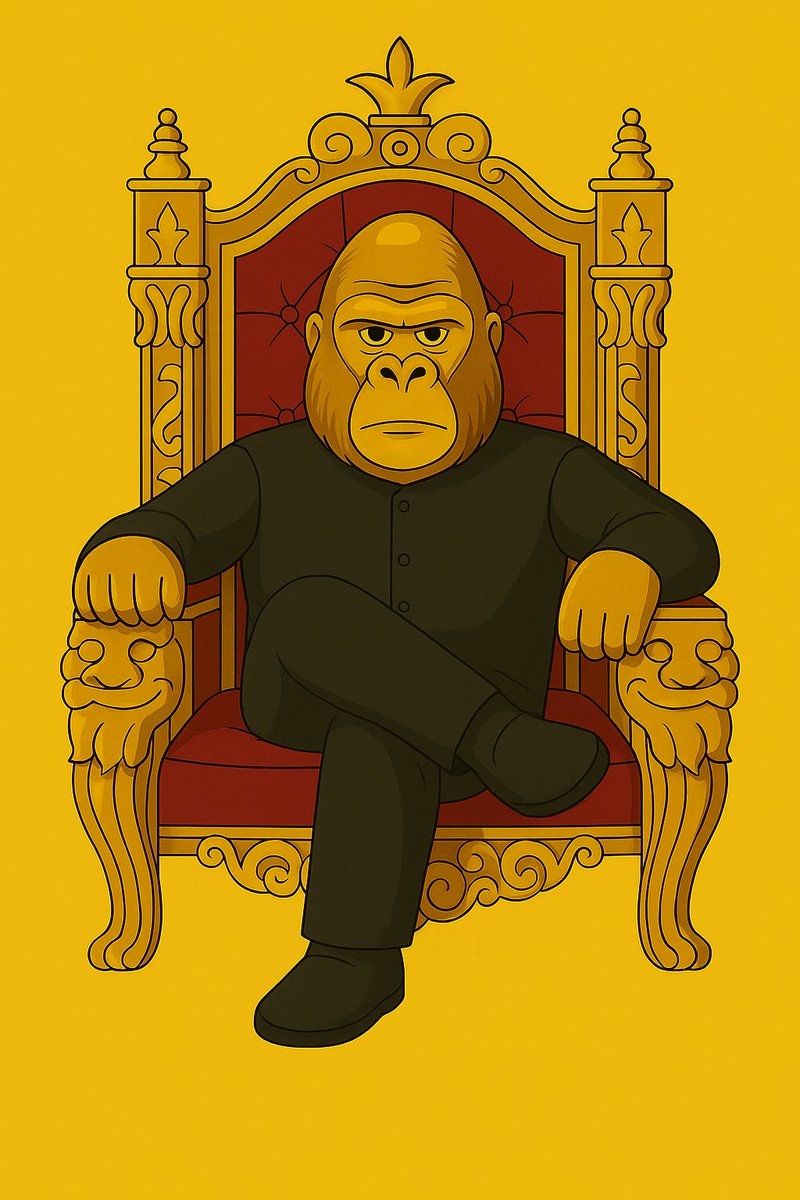 Gorilla tweet media