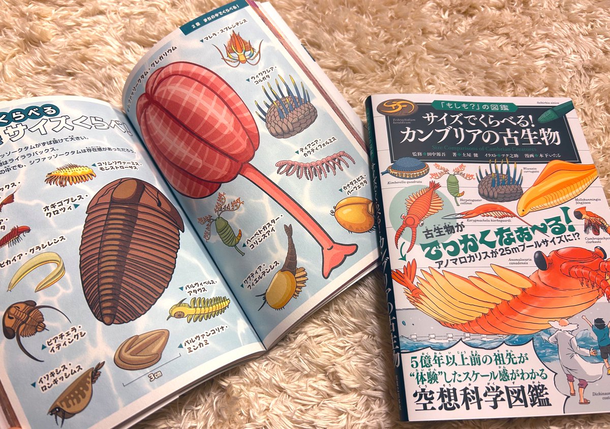 【新刊】
「もしも？」の図鑑『サイズでくらべる！ カンブリアの古生物』
一足お先に本が届きました！

カンブリア紀の生物80種&amp;人間と過ごす彼らの様子をたくさん描きましたよ。
11/20、発売です！
amazon.co.jp/dp/4408651761