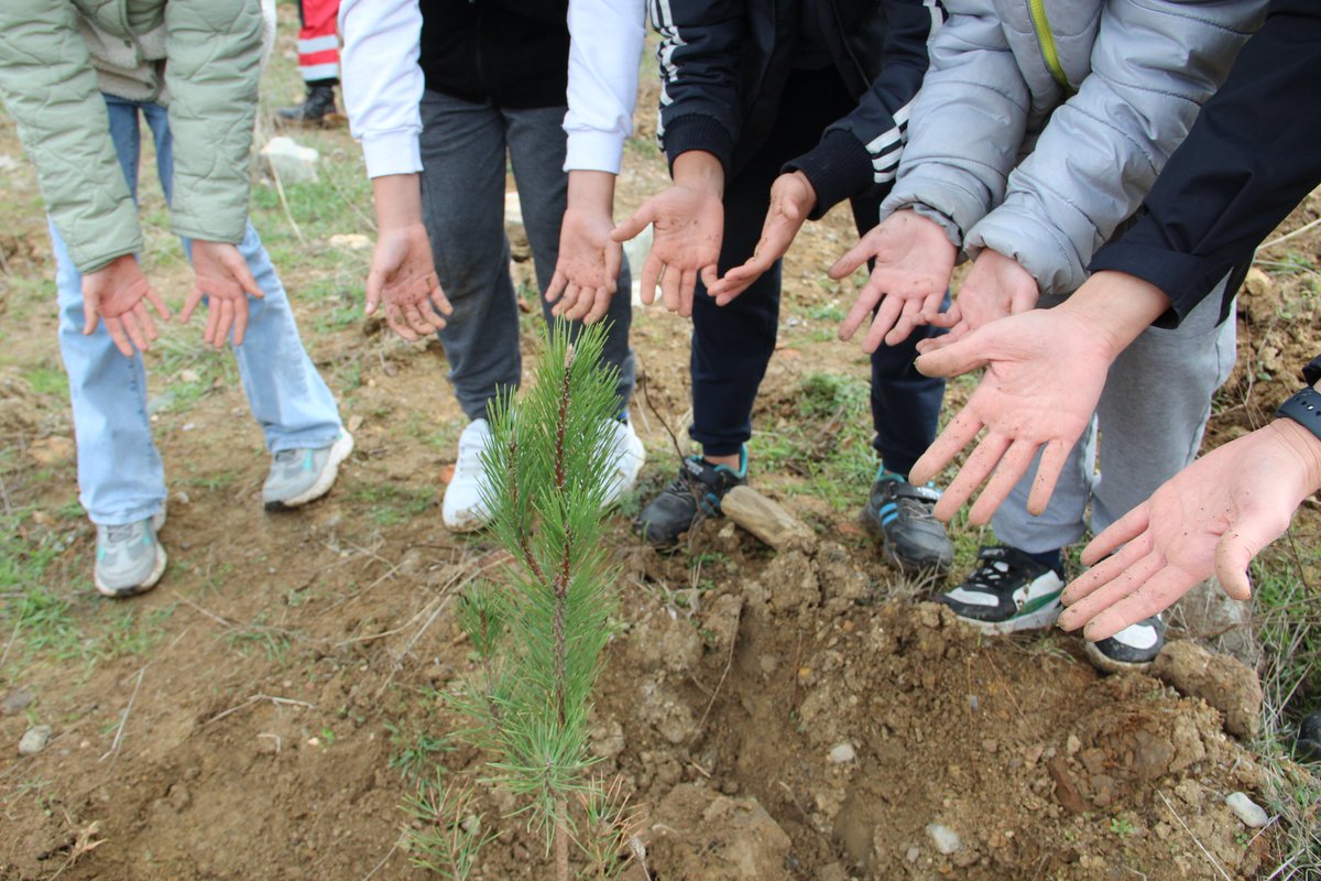 🌳 Milli Ağaçlandırma Günü🇹🇷

Bugün bin 800 fidanı toprakla buluşturduk.

⛏️ Üretimi tamamlanmış maden sahalarını doğaya kazandırıyoruz.
Çünkü biz sadece kömür üretmiyoruz; yeşeren bir geleceği inşa ediyoruz.