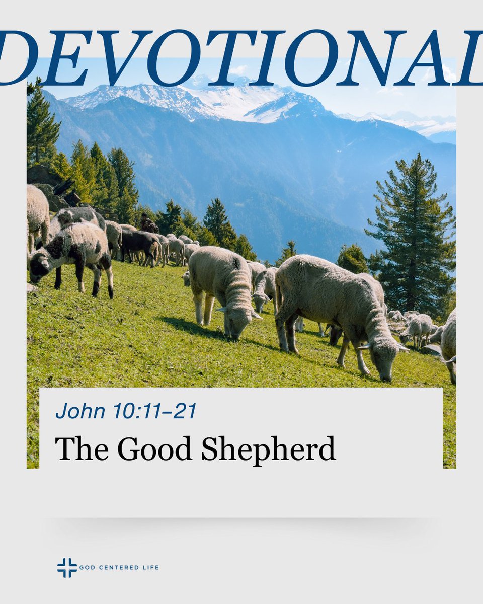 drjoshmoody's tweet image. Jesus is not just a shepherd, not merely a ruler. Nor is he only a good shepherd, a particularly good ruler. No, Jesus is the Good Shepherd. How do we know that Jesus is who he claims to be? How do we know that he fulfills the Messianic promise of David, that there would be a…