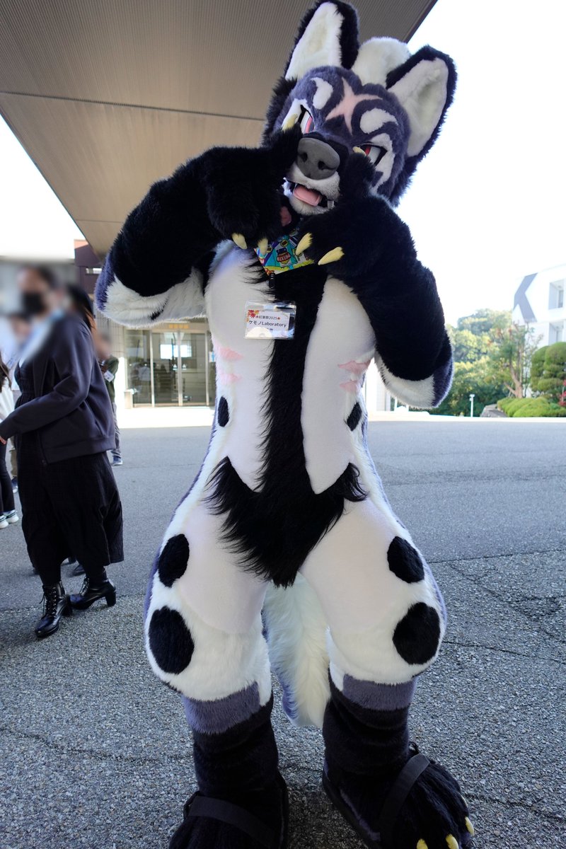 ファウラ リリ (想木 リリ) tweet media