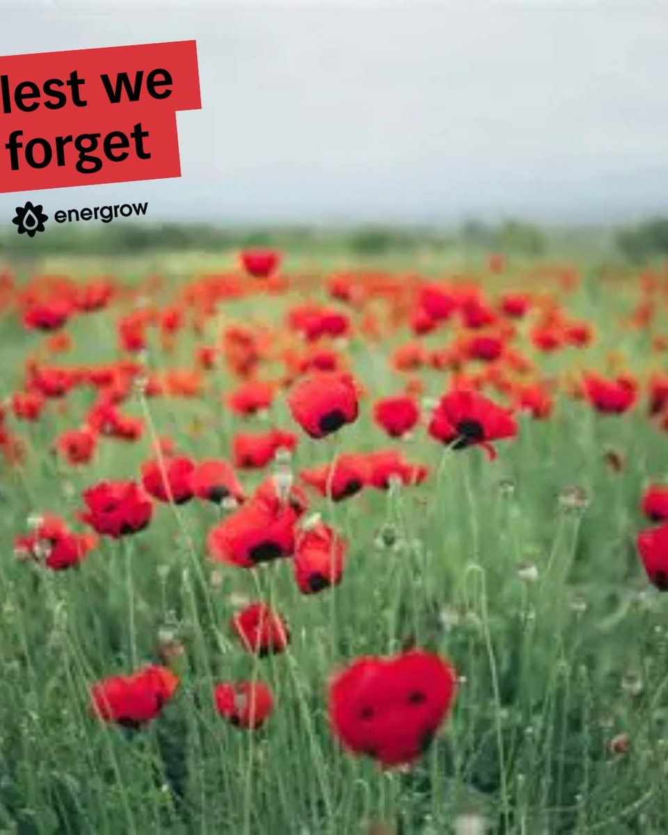 Today, we honor and thank our veterans for their sacrifices, which allow us to enjoy the freedoms we have today. 
In recognition of this day, Energrow offices will be closed.