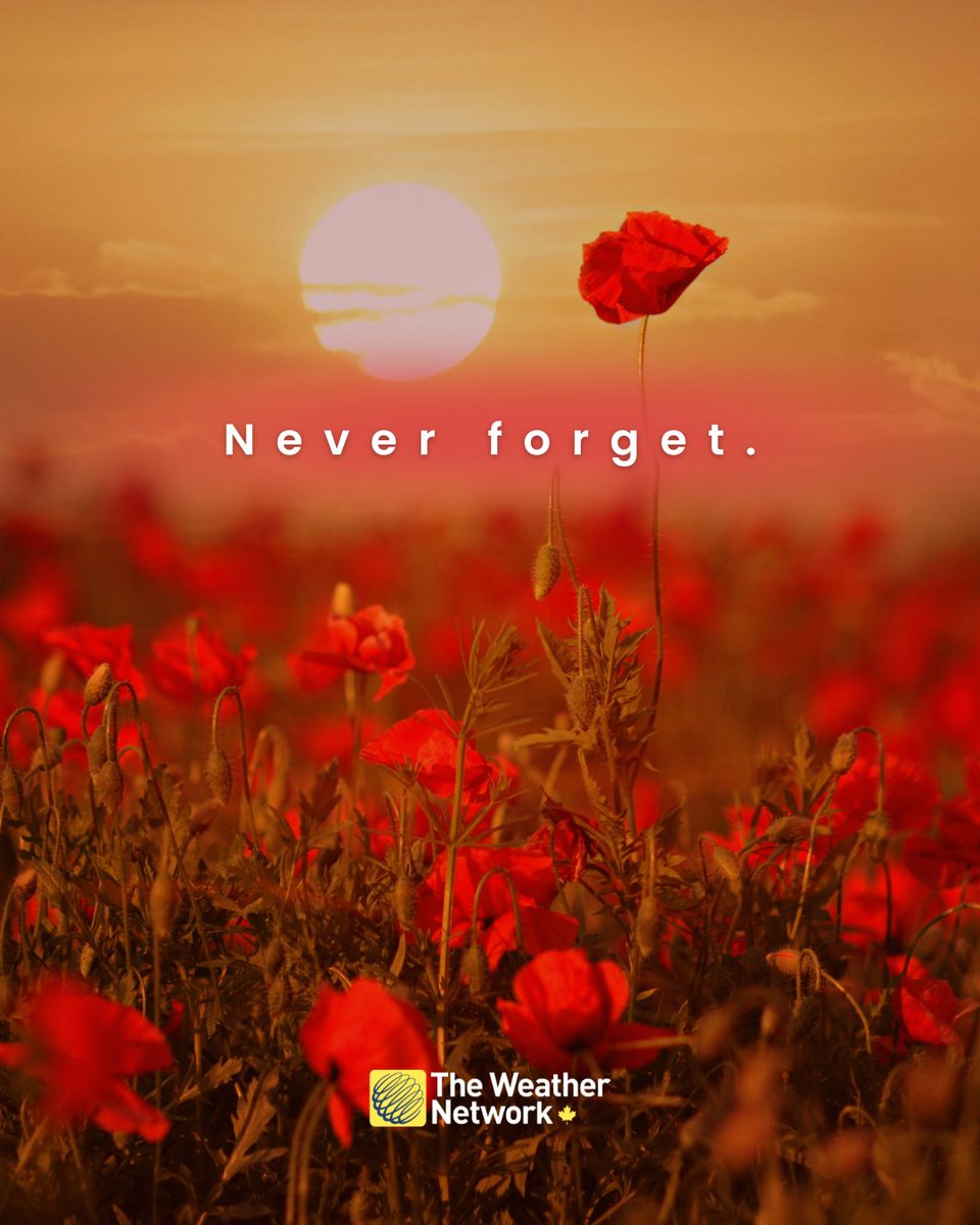 weathernetwork's tweet image. On November 11, we honour those who have fought for our country and our freedom. Thank you for your service. 

#RemembranceDay