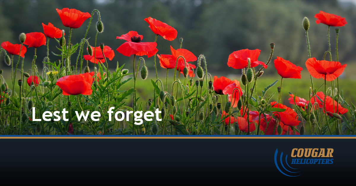 Cougar Helicopters (@cougarheli) on Twitter photo 