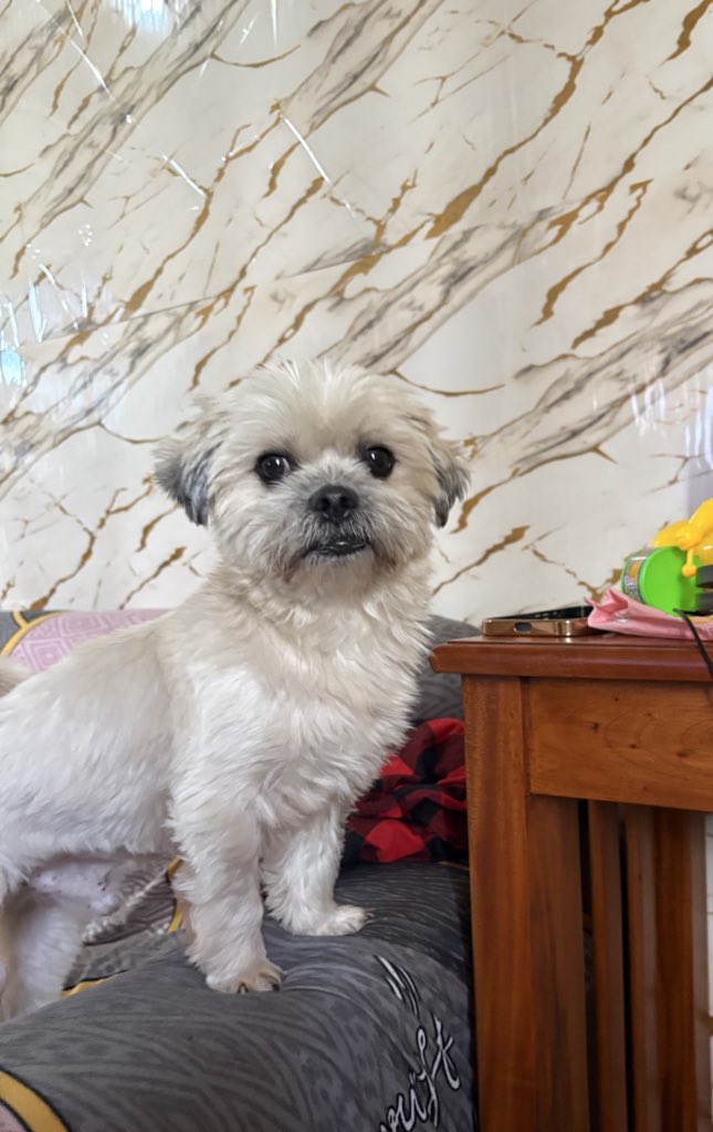 Jae (@luckjjj2995) on Twitter photo 