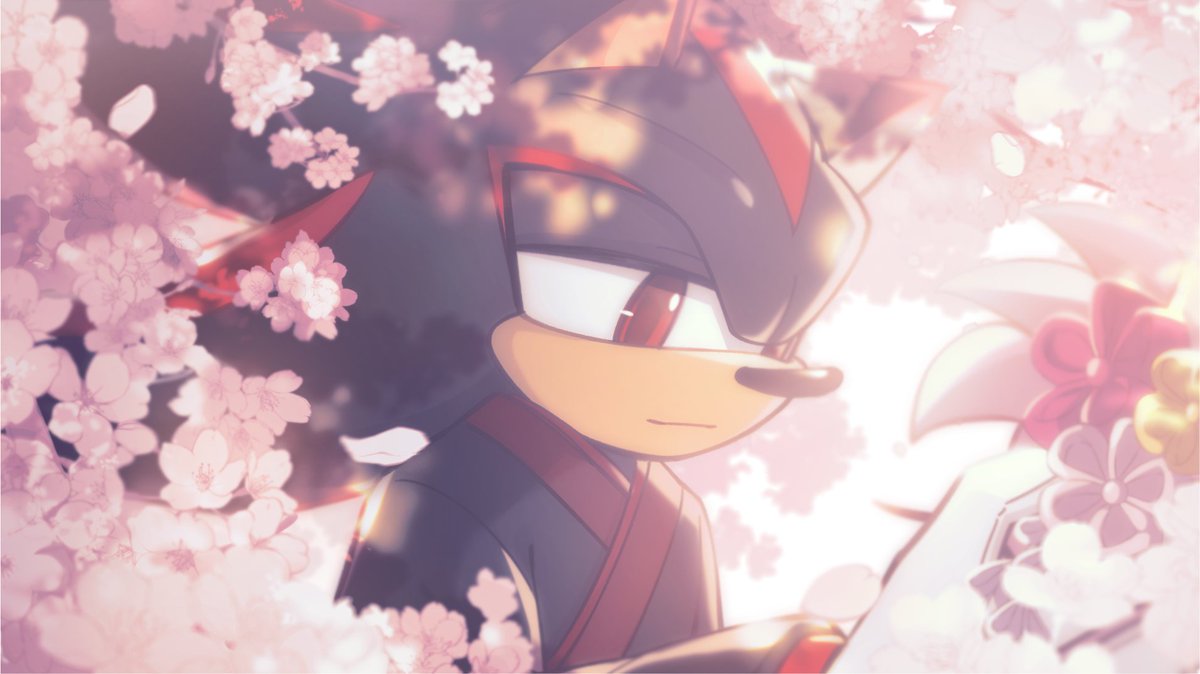 ShawnShipper | rest 😴 tweet media