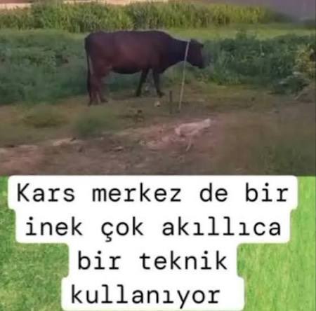 furkanın yanında gözüküp nisaya çökecek