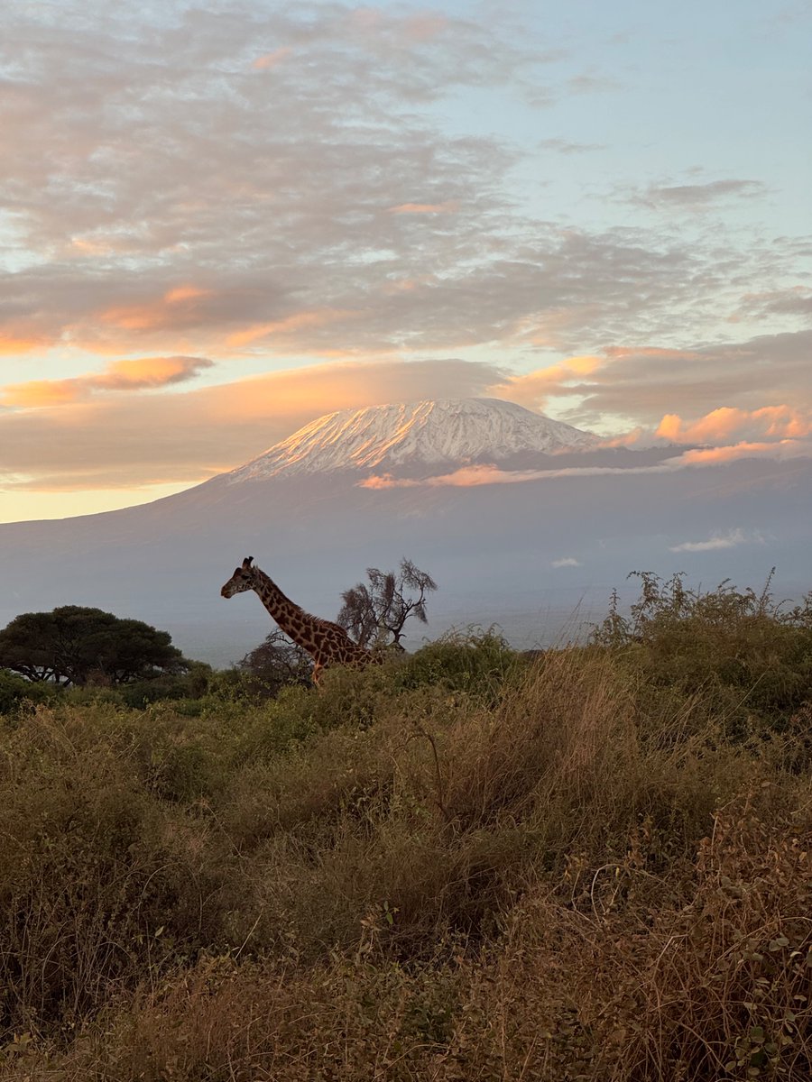 Auguro a chiunque di riuscire a vedere il #Kilimanjaro almeno una volta nella vita 🙏