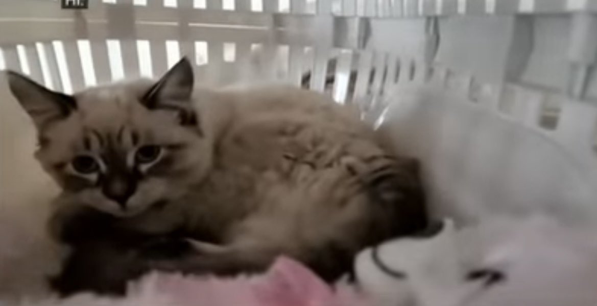 Flashing Pondue🍑 tweet media