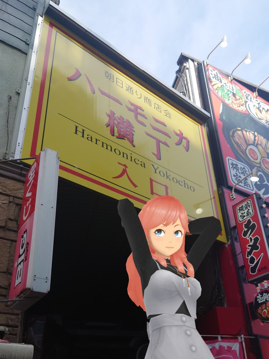 ハーモニカ横丁は入口から見えるだけでもディープな雰囲気がムンムンで昼間でも入る勇気は無かったなー