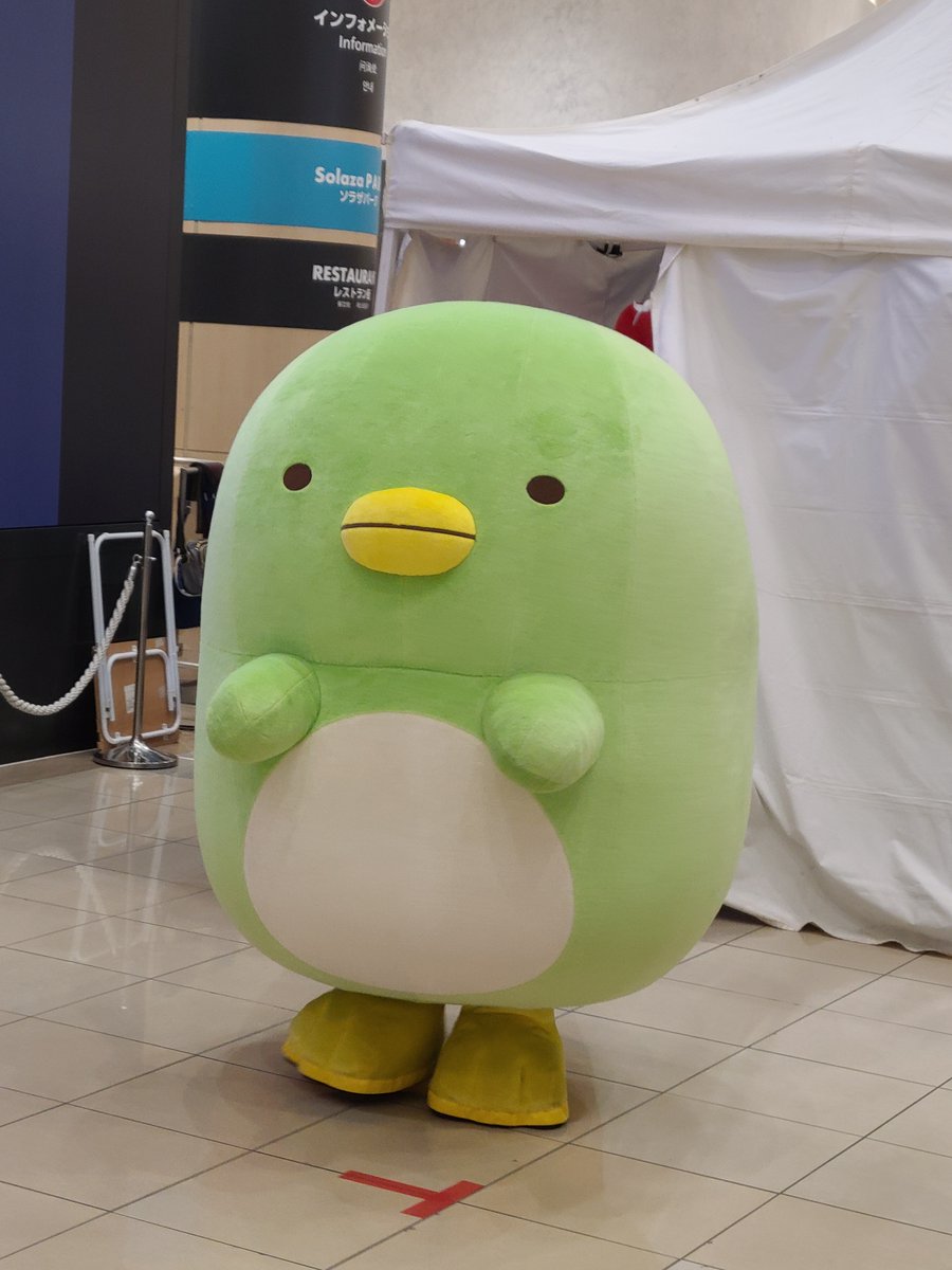 AZ FLASH（クマの着ぐるみはなこ＆ネコのなっちゃん） (@azflashjp