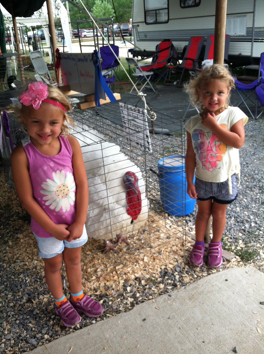 Maddi White 2029 tweet media