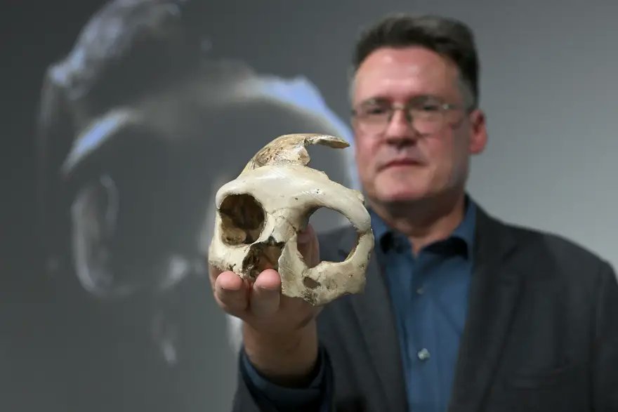 🎙️ Prof. dr. sc. Ivor Janković
🧬 Neandertalci – daleki rođaci?
🔍 Tko su bili neandertalci, kako su živjeli i što otkrivaju o našim korijenima?
📅 25.11.2025. u 18 h
📍 Multimedijalna dvorana HPM
👉 Prijava: forms.gle/qfBUmQKDgEggi1…