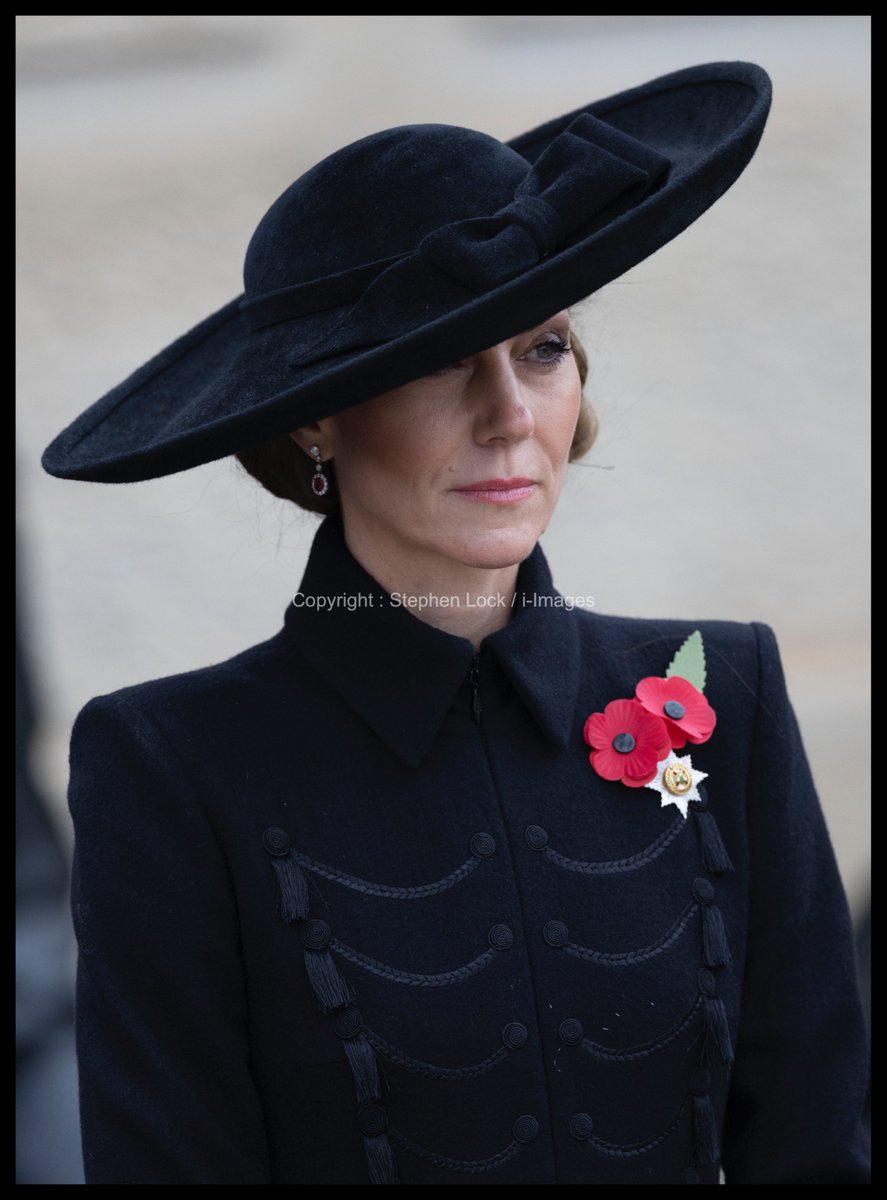 i-Images Picture Agency tweet media