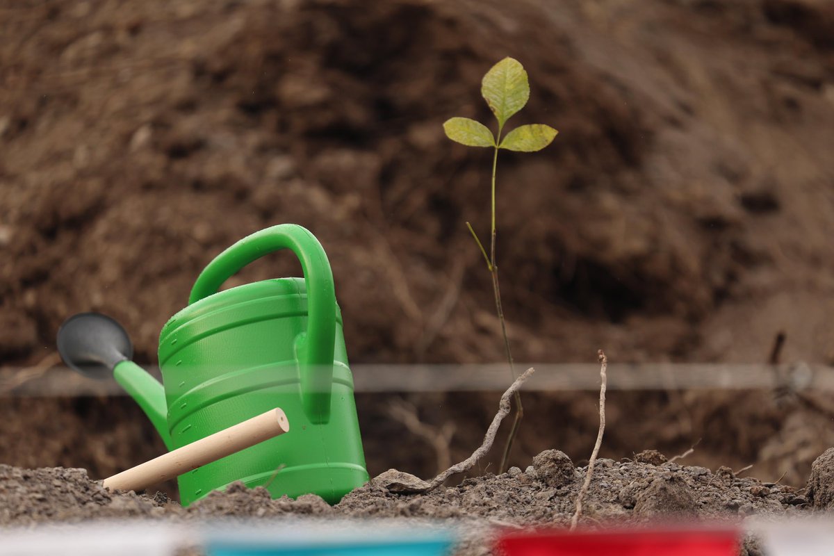 On National Afforestation Day, we planted saplings to give hope for, the future and to create a greener Kocaeli and Türkiye for tomorrow.